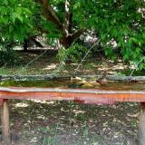 photo 2021-05-21 15-37-37