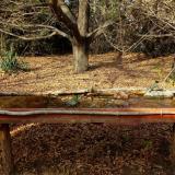 photo 2021-10-26 14-30-37