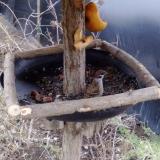 photo 2019-02-05 07-40-42