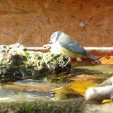 photo 2023-10-25 13-29-17 kekcinege