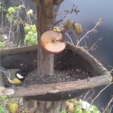 photo 2019-12-05 11-16-24