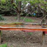 photo 2021-04-17 16-48-36