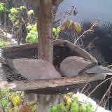 photo 2019-12-02 09-56-11