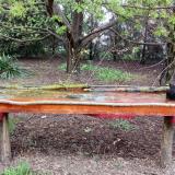 photo 2021-04-13 16-50-48