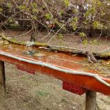 photo 2021-04-06 11-47-05