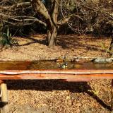 photo 2021-10-27 10-51-43