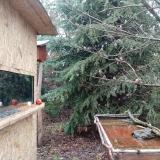 photo 2021-12-30 12-17-00