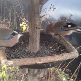 photo 2019-12-25 08-59-35