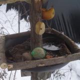 photo 2019-01-27 12-14-42