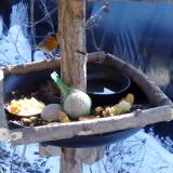 photo 2019-01-21 12-07-26