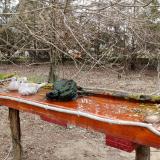 photo 2021-03-22 12-02-14