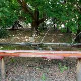 photo 2021-07-03 14-52-08