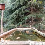 photo 2023-10-11 11-36-36