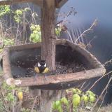 photo 2019-12-13 14-17-27