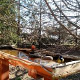 photo 2022-03-23 08-37-34