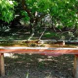 photo 2021-05-09 08-22-39