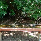 photo 2021-08-01 11-40-10