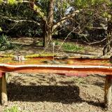 photo 2021-04-12 09-51-21