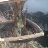 photo 2019-02-11 08-27-15