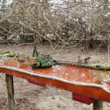 photo 2021-03-23 08-10-09