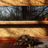 photo 2022-01-24 10-52-40