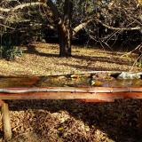 photo 2021-10-25 09-27-03