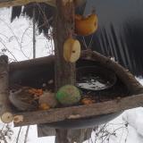 photo 2019-01-27 11-47-54