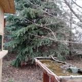 photo 2021-12-12 11-01-16