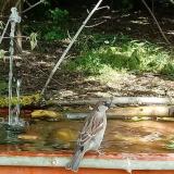 photo 2021-05-06 10-55-05 vereb