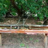 photo 2021-07-12 14-47-02