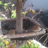 photo 2019-12-02 09-50-54