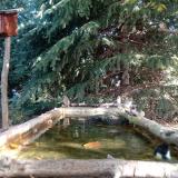 photo 2023-10-12 10-10-51