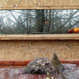 photo 2022-01-25 12-19-44