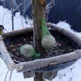 photo 2019-01-11 08-44-11