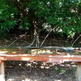 photo 2021-09-05 12-50-42