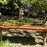 photo 2021-04-26 09-55-41