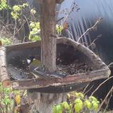 photo 2019-12-14 11-43-37