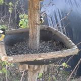 photo 2019-12-17 12-39-15