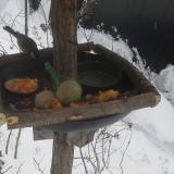 photo 2019-01-23 08-55-07