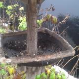 photo 2019-12-02 10-49-27