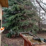 photo 2021-12-16 10-43-00