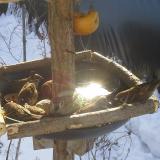 photo 2019-01-27 10-10-25