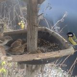 photo 2019-12-29 13-24-03