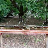 photo 2021-07-02 15-32-21