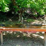 photo 2021-05-08 11-18-01