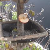 photo 2019-12-04 08-30-28