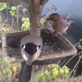 photo 2019-12-12 12-59-19