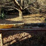 photo 2021-10-25 15-45-20