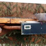 photo 2021-03-05 14-12-51