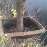 photo 2019-12-21 09-36-18